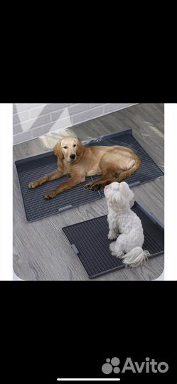 Лоток для собак