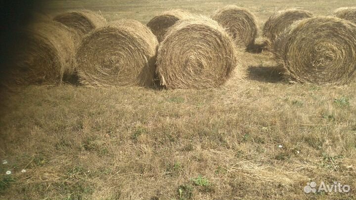 Сено в рулонах 2023