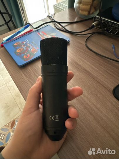 Микрофон Tascam TM-80