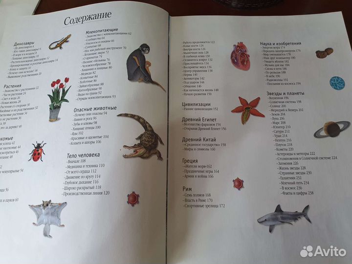 Энциклопедия