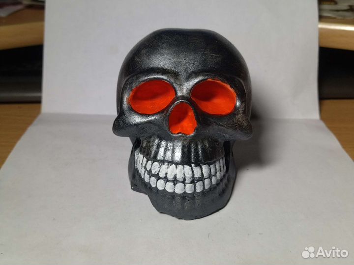 Череп из гипса