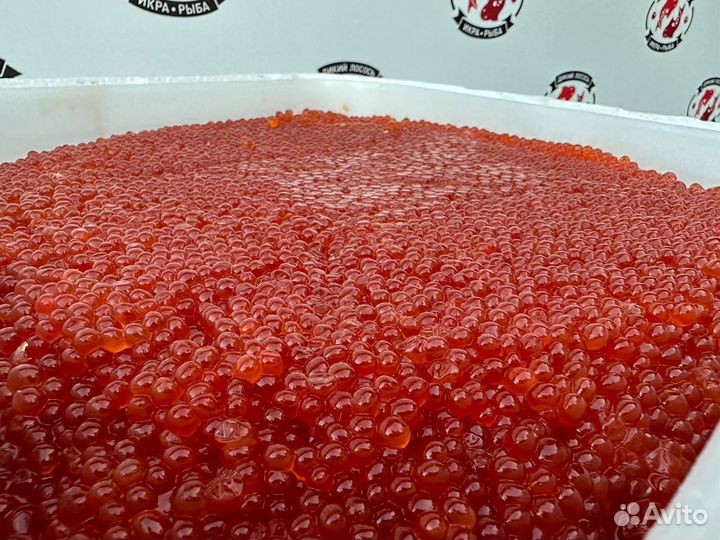 Красная икра горбуши оптом