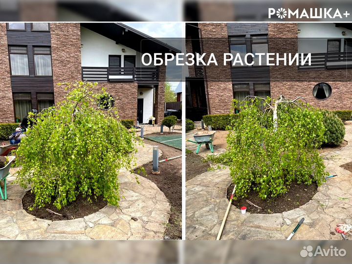 Уход за садом. Услуги садовника