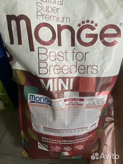 Корм для собак