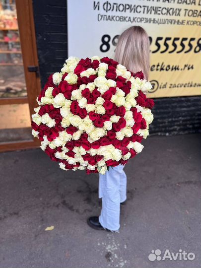 Цветы розы 201 с доставкой