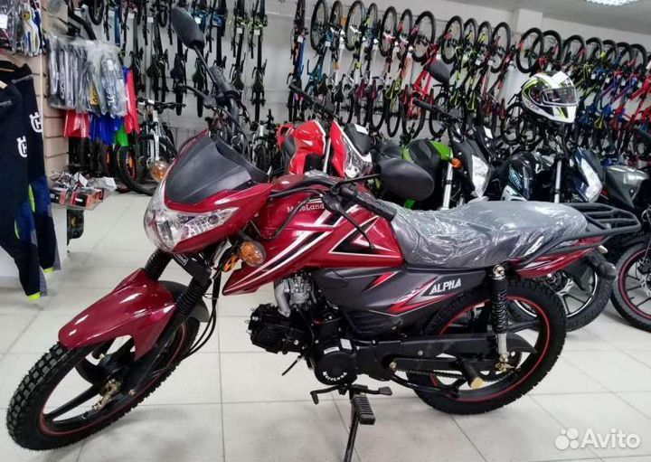 Мопед alpha RF 11