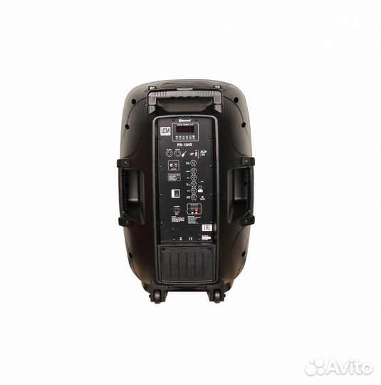 Акустическая система с 2 микрофонами, Leem PR-15HR