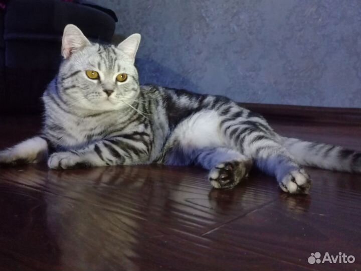 Котик для вязки