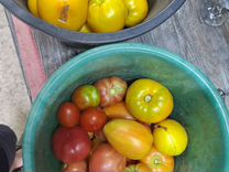 Огурцы и помидоры свежие домашние. Доставка