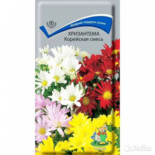 Хризантема индийская Корейская смесь