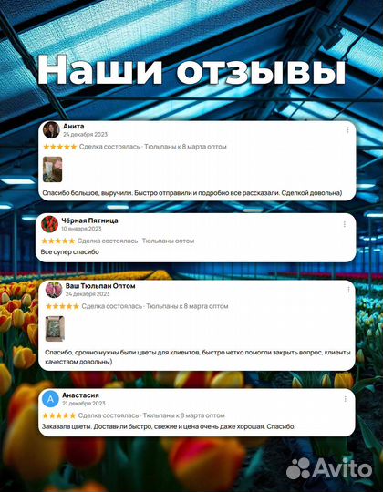 Тюльпаны оптом к 8 марта Предзаказа тюльпанов опто
