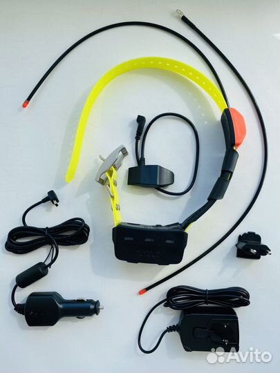 Ошейник Garmin Alpha T5 Scandic