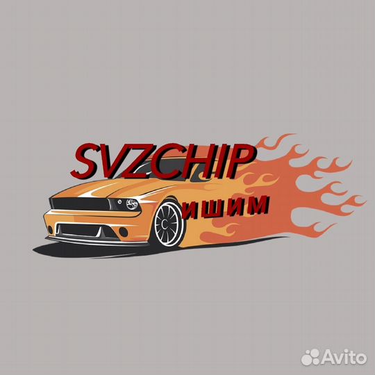 Чип - тюнинг прошивы SVZ chip е2