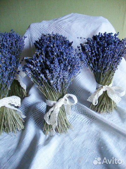 Лаванда букет толстенький. сухоцвет