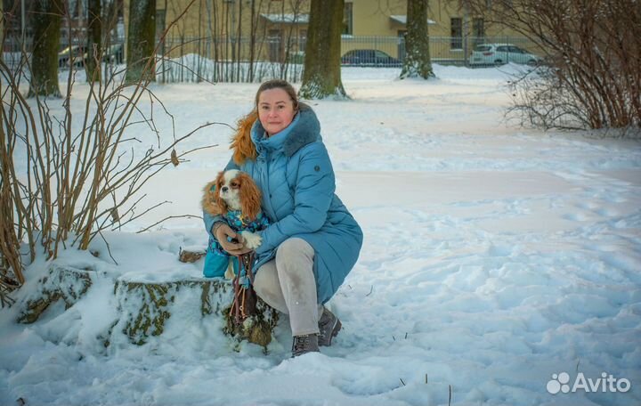 Передержка собак, кинолог, зоотакси