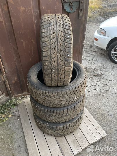 Zeta Antarctica Ice 205/55 R17 98H