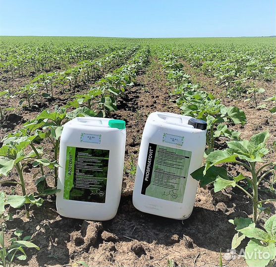 Азотовит и Фосфатовит 10 л