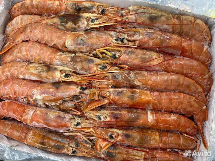 Лангустины L1 крупный. Свежий улов