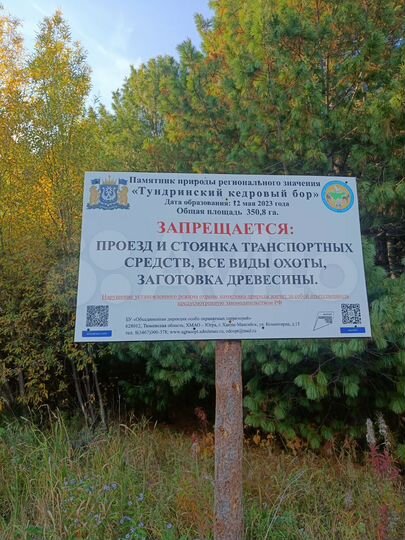 Участок 33 сот. (ИЖС)