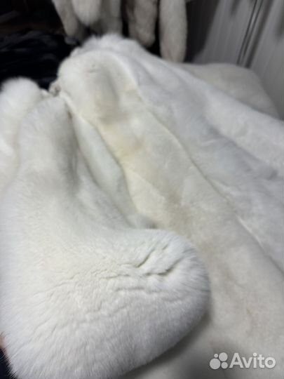 Писец шкура