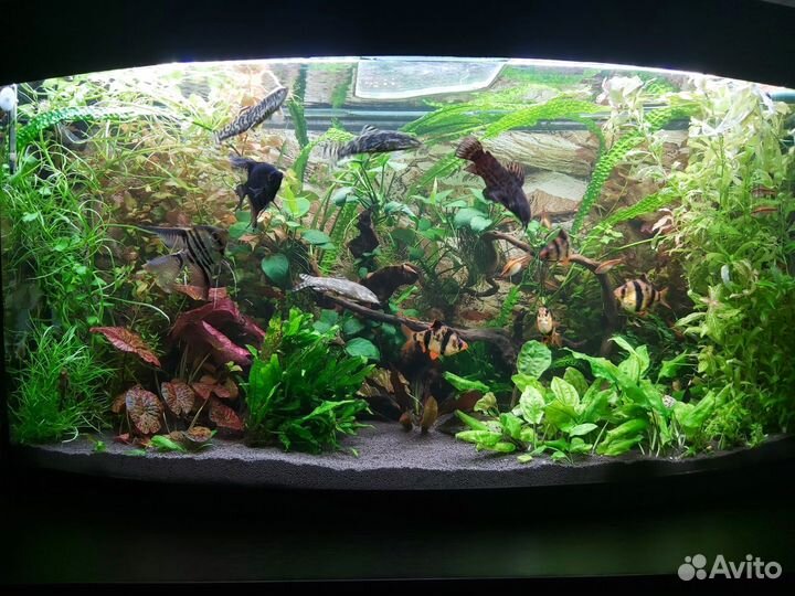 Крупный пропант аквариумный грунт