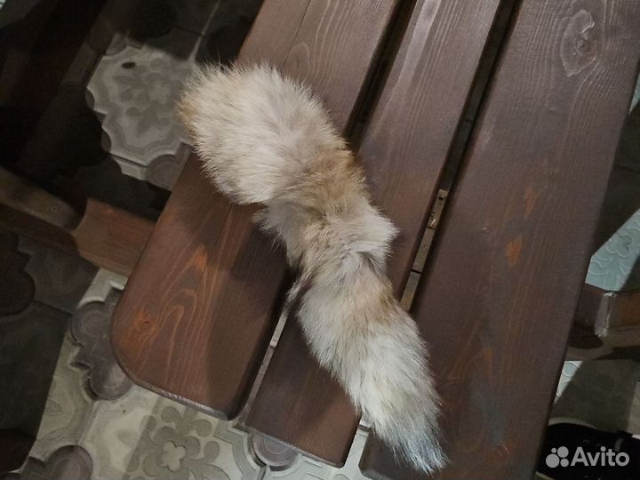 Хвост лисы