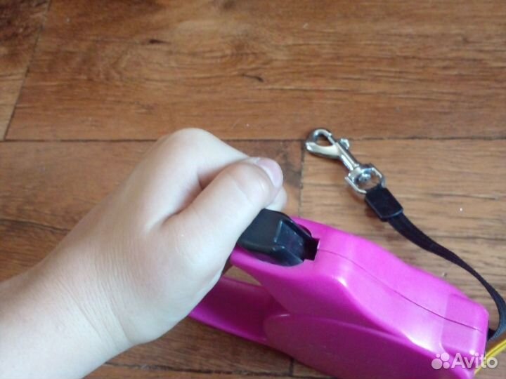 Амуниция для собак