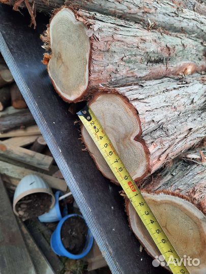 Можжевельник