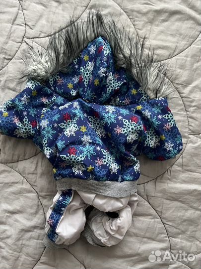 Комбинезон на маленькую собаку