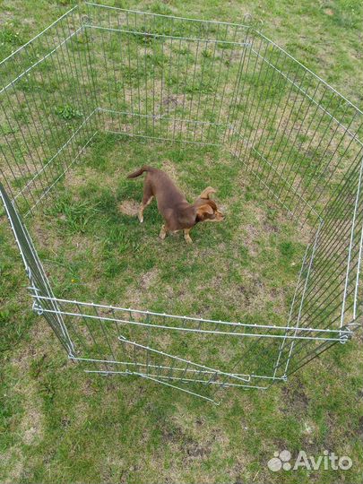 Клетка для маленьких собак