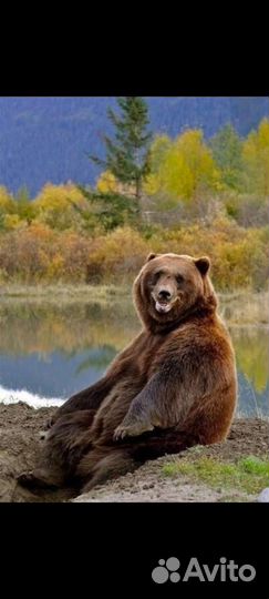 Водитель погрузчика