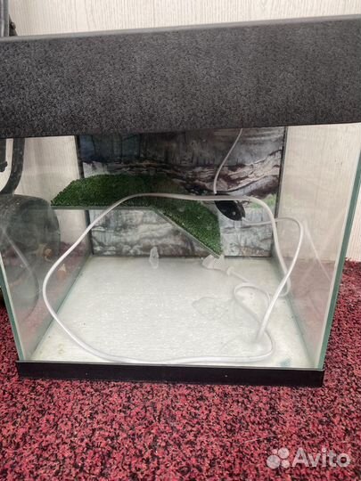 Аквариум