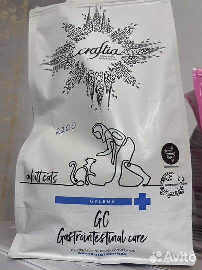 Craftia galena CAT urinary