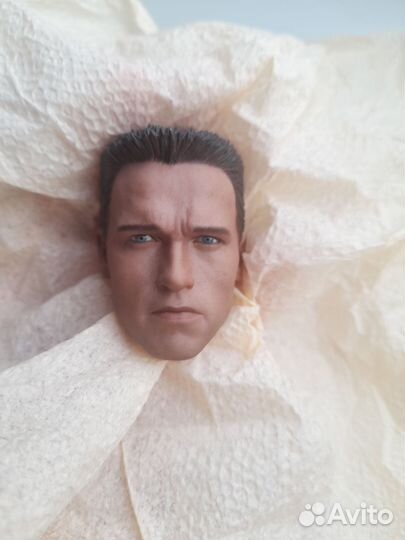 Голова Шварцнегера на экшен тело