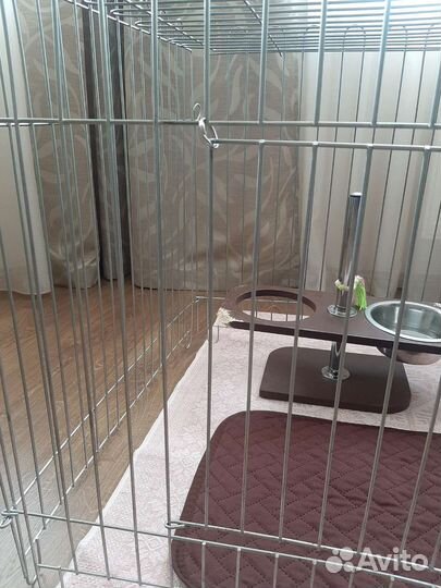 Вольер для собак