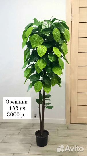 Искусственные деревья для интерьера