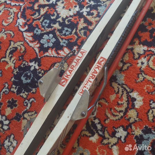 Горные лыжи