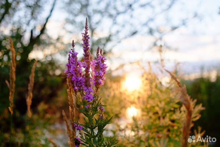 Объектив fujifilm