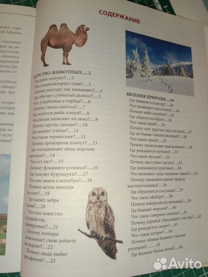 Детская энциклопедия