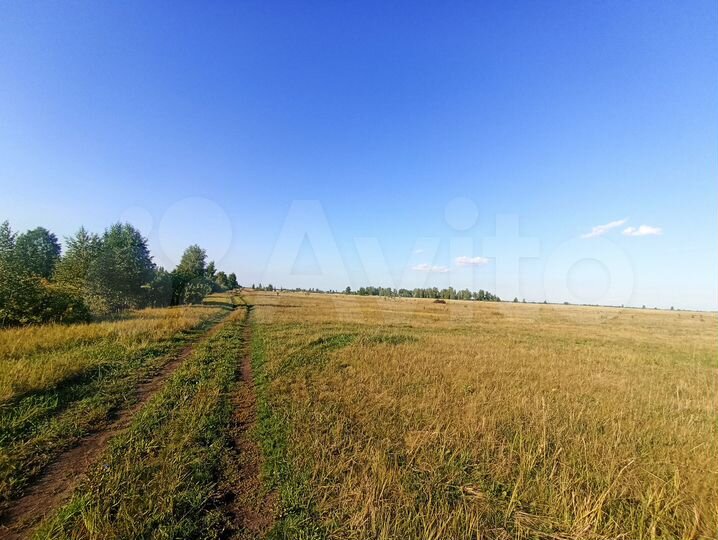 Участок 65 сот. (ИЖС)