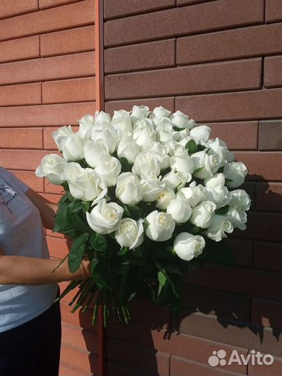 Букет из 101 розы/Белые розы