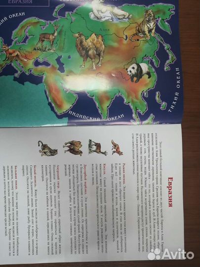 Настольные игры для детей