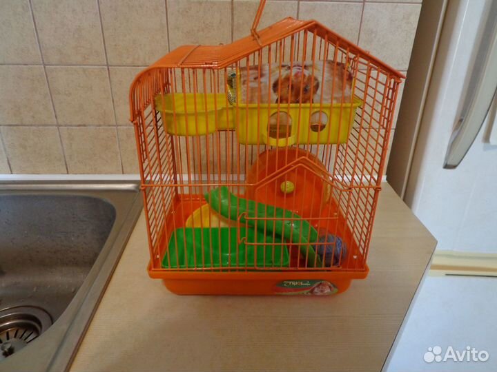 Клетка для хомяка