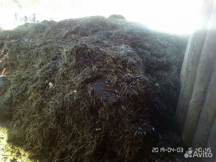 Козий навоз Бесплатно. Самовывоз