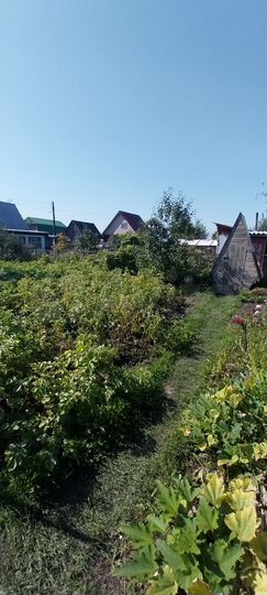 Дача 40 м² на участке 4,5 сот.