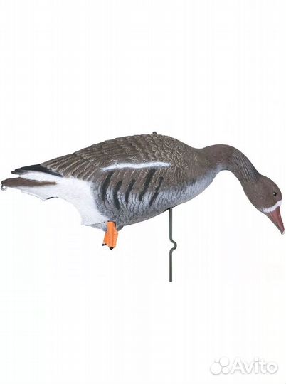 Чучела белолобого гуся Sport Plast DLX 940(12 шт)