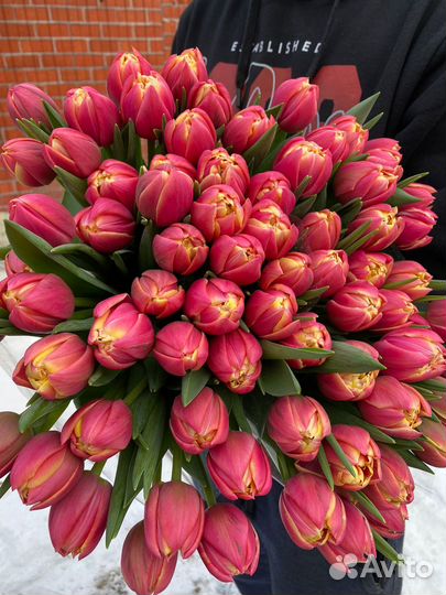 Тюльпаны оптом