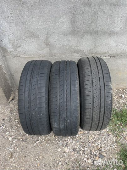 Acustica Challenger 4/60 R14 19B
