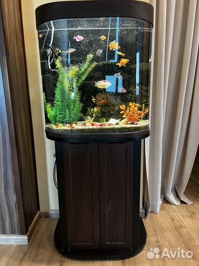 Аквариум с рыбками