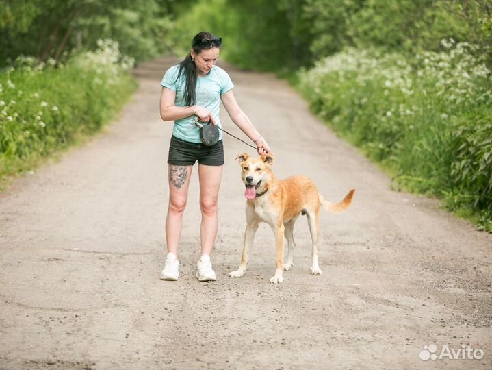 Ваш пёс у нас